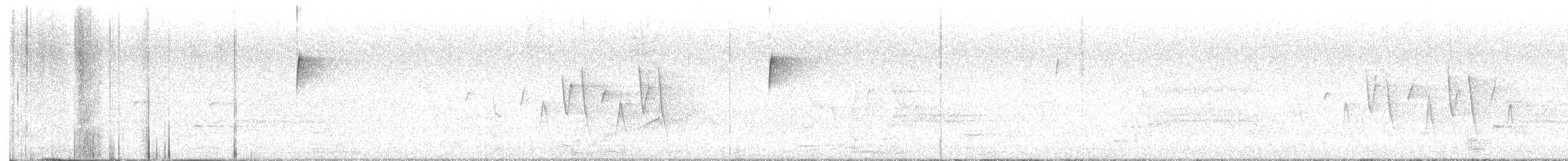 Connecticut Warbler - ML636568692