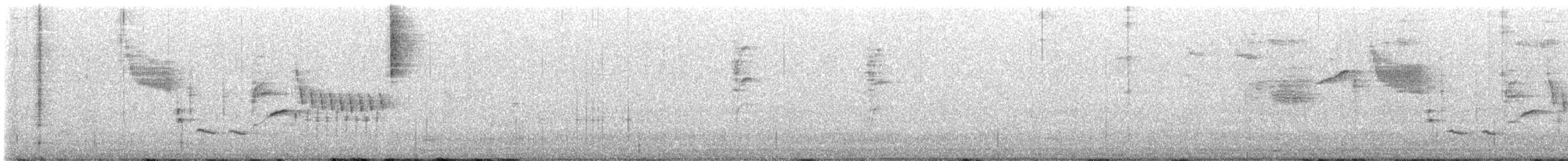 Bewick's Wren - ML636568956