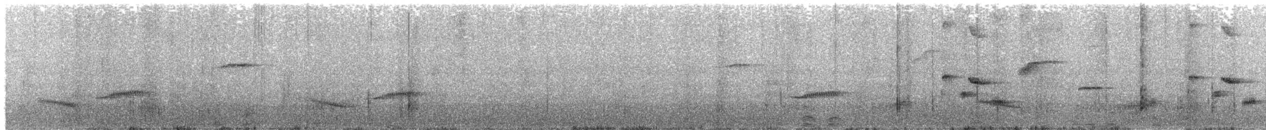 Black Catbird - ML636572773