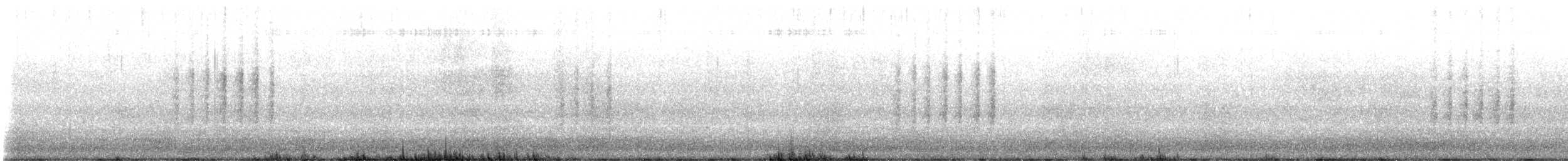 wren sp. - ML636573199