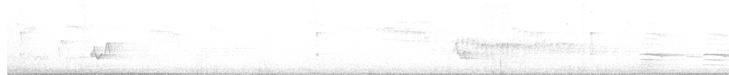 Tennessee Warbler - ML636574378