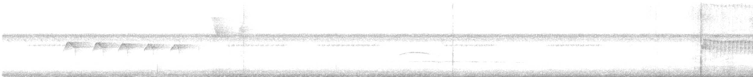 Rough-legged Tyrannulet - ML636574941