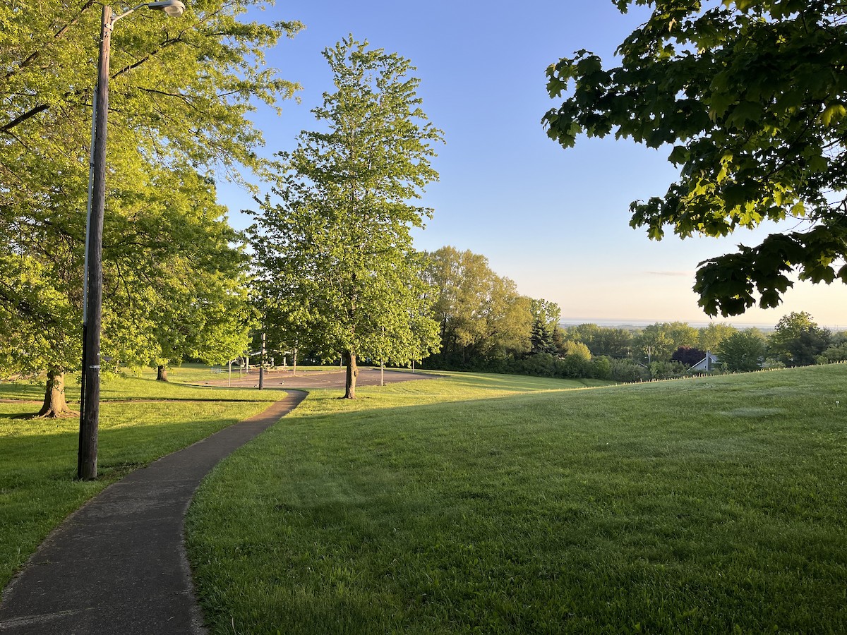 Канад галуу - ML636575016