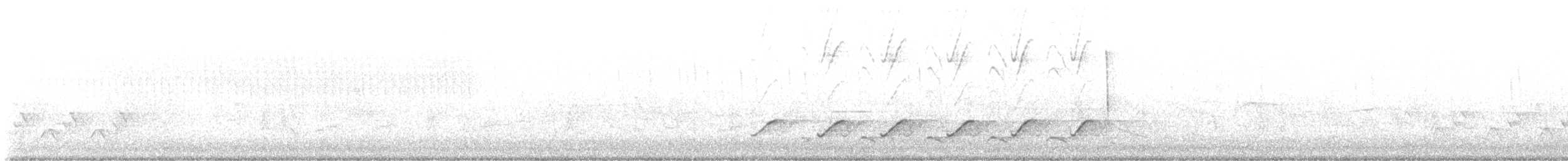 Northern Cardinal - ML636575074