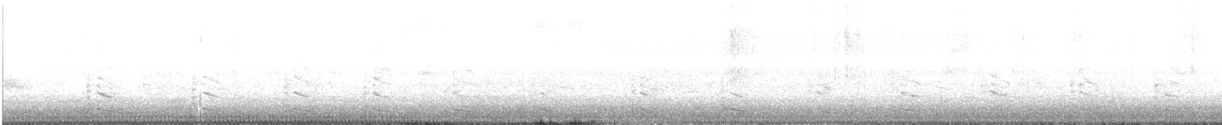 Black-billed Gull - ML636575391