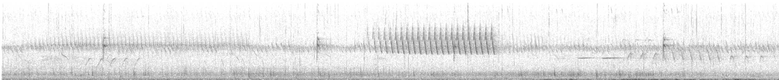 Blue Grosbeak - ML636577985