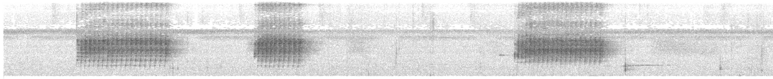 Dreibinden-Ameisenvogel - ML63657841