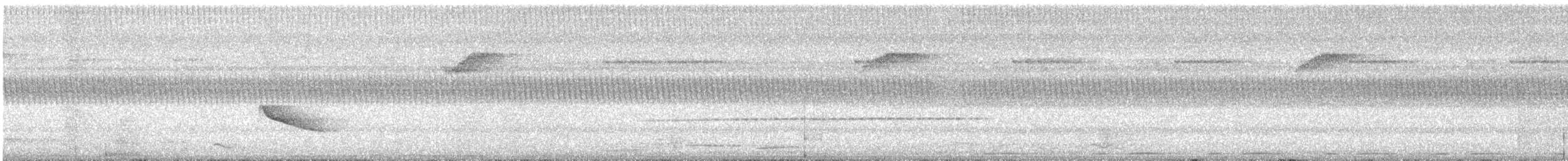 Barred Cuckooshrike - ML636578428