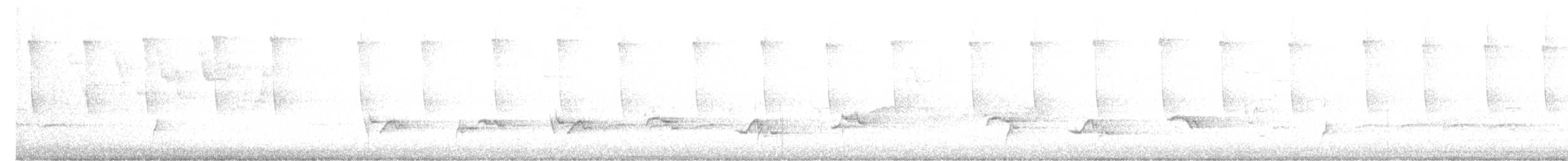 Swainson's Thrush - ML636578670