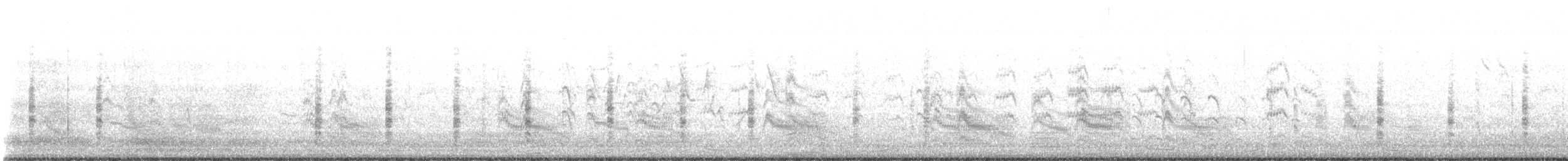 Forster's Tern - ML636579392