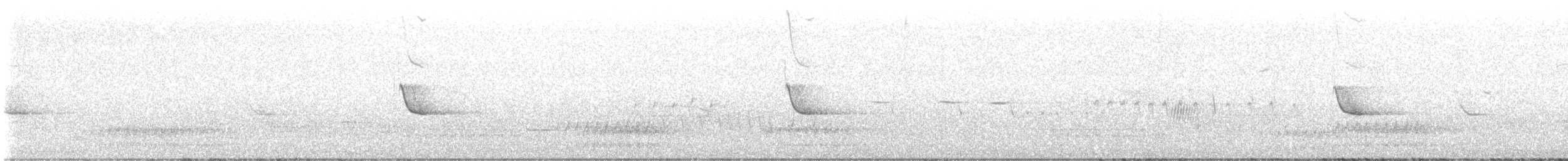 Marsh Wren - ML636579859