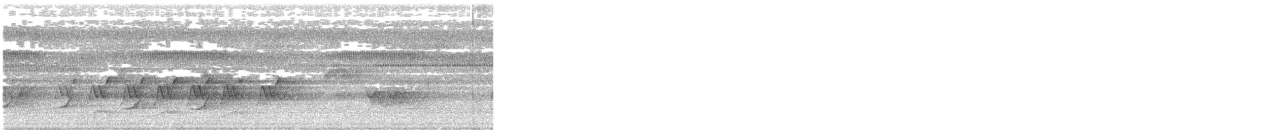 Kentucky Warbler - ML636584714