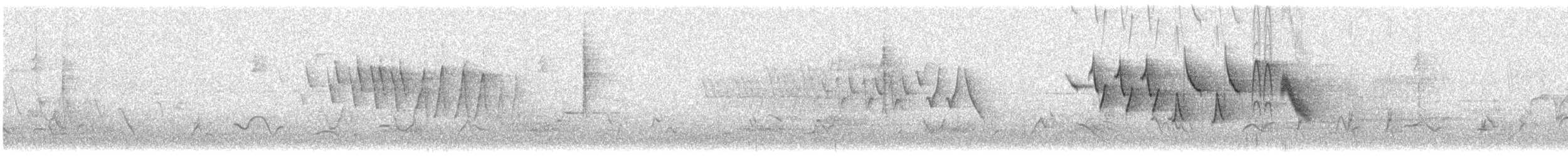 Wilson's Warbler - ML636585022