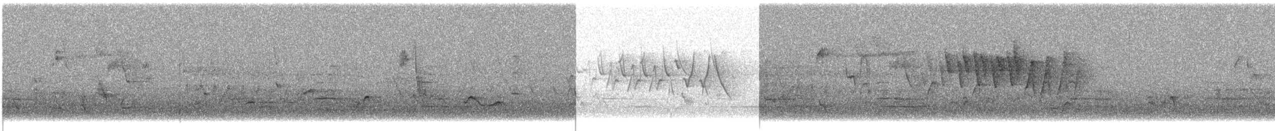 Wilson's Warbler - ML636585651