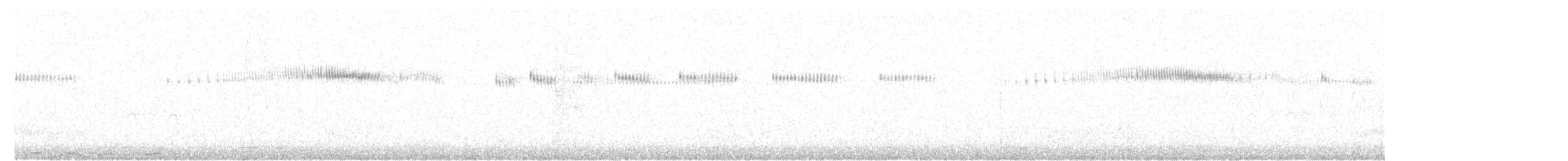 Broad-tailed Hummingbird - ML636585788