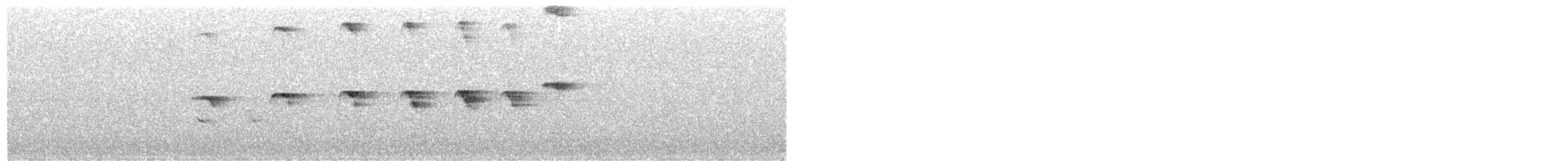 Magdalena Antbird - ML636585995