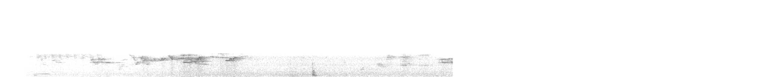 Warbling Vireo - ML636588420