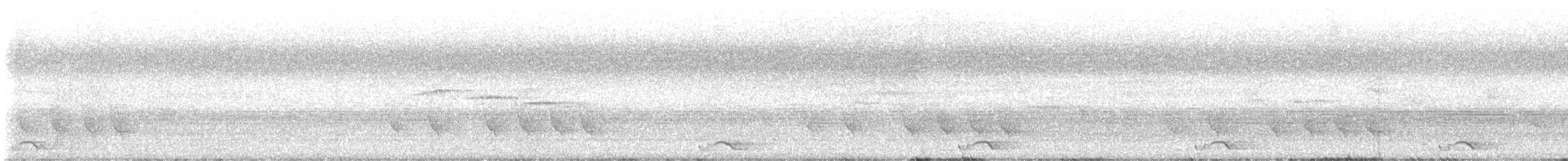 White-browed Shrike-Babbler - ML636591028