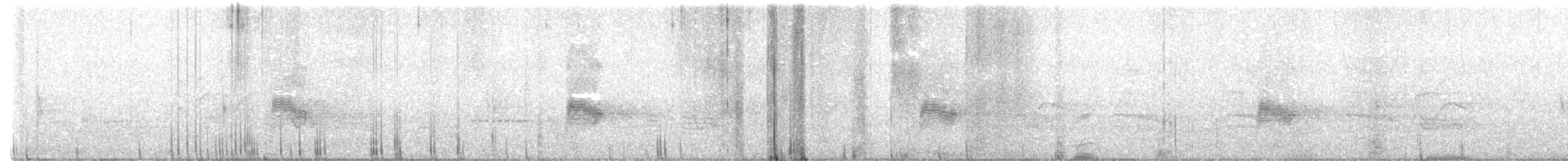 Common Nighthawk - ML636591744