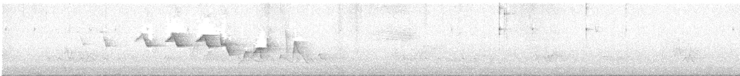 Louisiana Waterthrush - ML636591788