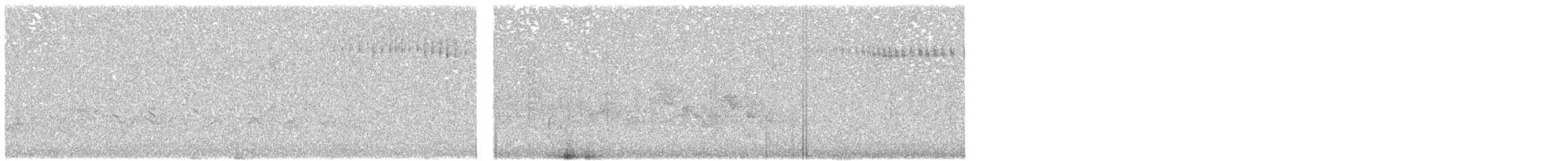 Blackpoll Warbler - ML636593270