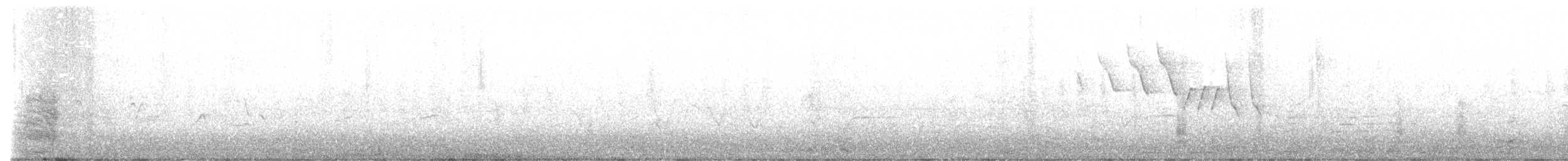 rybák velkozobý - ML636593676