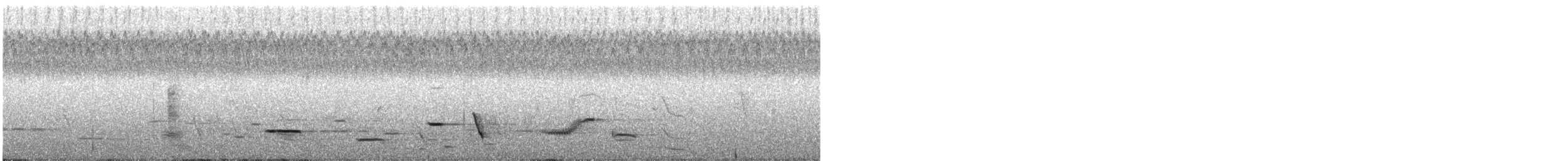 New Zealand Bellbird - ML636594401