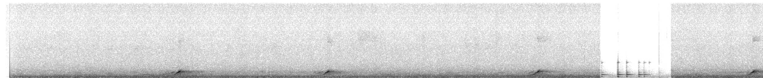 Tourco huet-huet - ML636594583