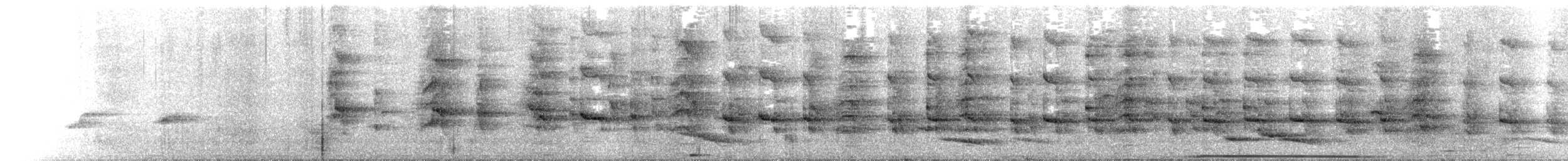 Râle à collier - ML636595384