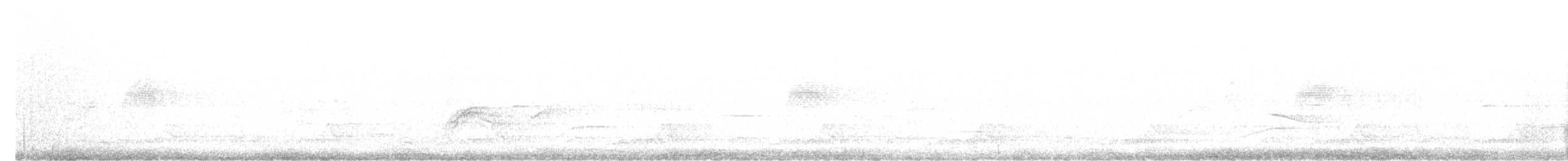 Eastern Whip-poor-will - ML636595501
