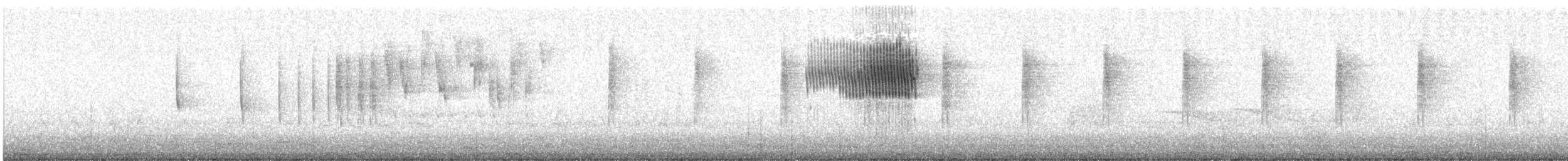 Yal Plebeyo - ML636596223