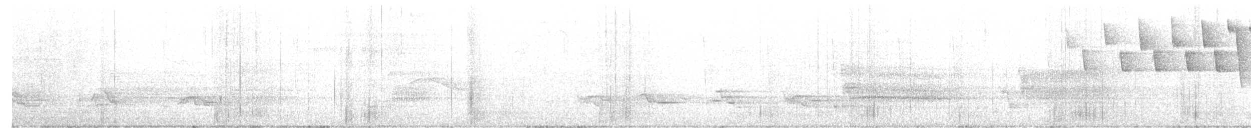 Tennessee Warbler - ML636596292
