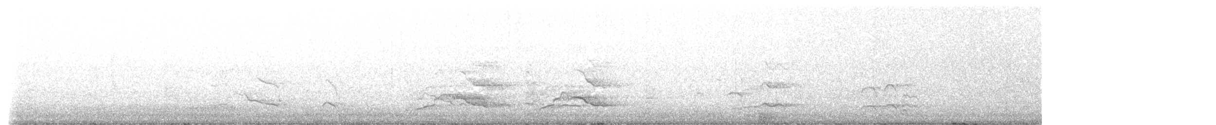 Baudin's Black-Cockatoo - ML636596720