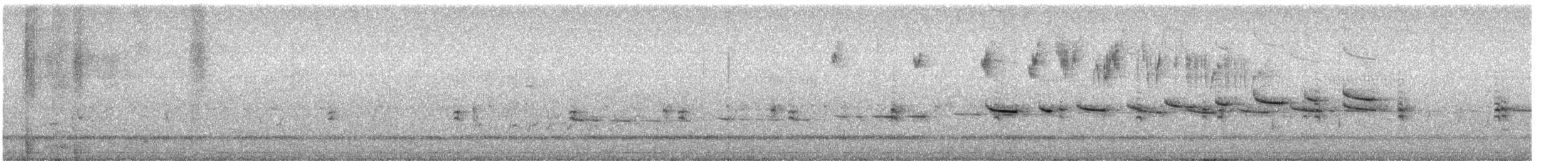 Ground Parrot (Eastern) - ML636597261