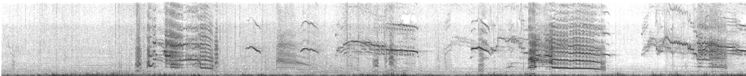 ギンカモメ（scopulinus） - ML636597929