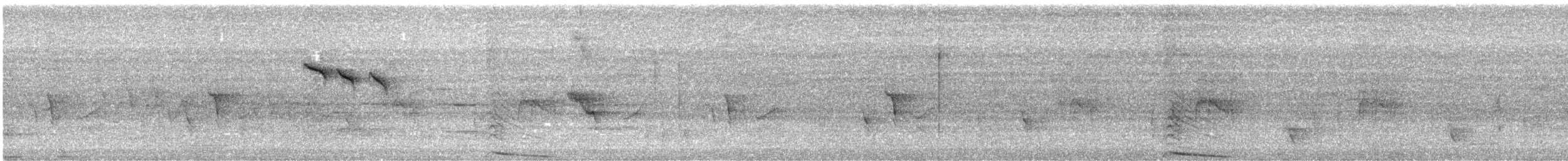 Carpophage de Nouvelle-Zélande - ML636599030