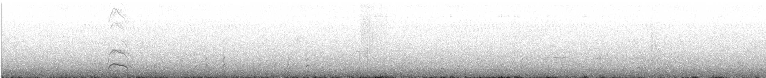 ústřičník proměnlivý - ML636599809