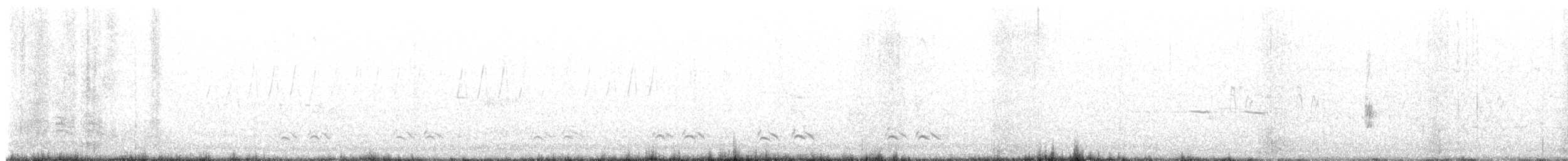 Northern Mockingbird - ML636601041