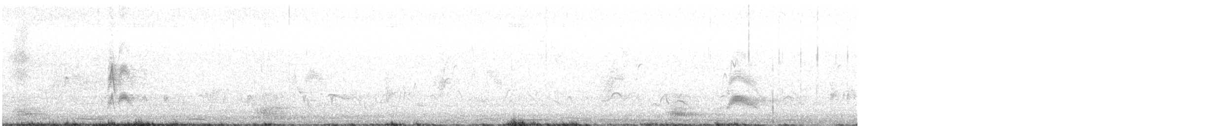 Cassin's Kingbird - ML636601112