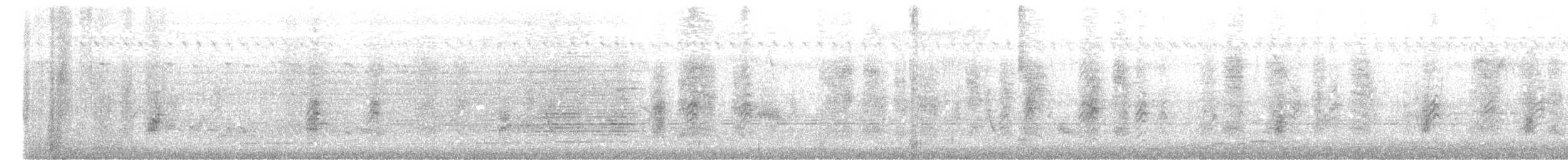 Malabarstar - ML636601500