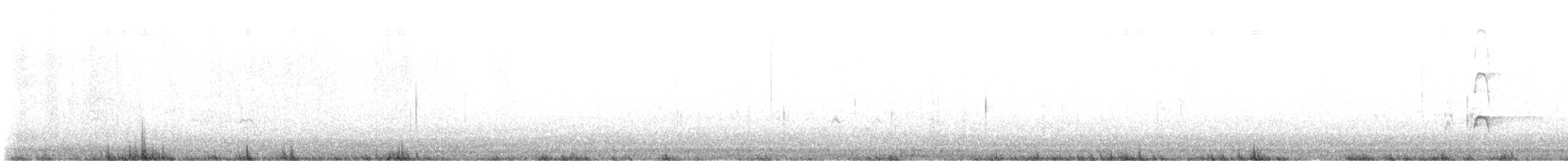 ústřičník proměnlivý - ML636603286