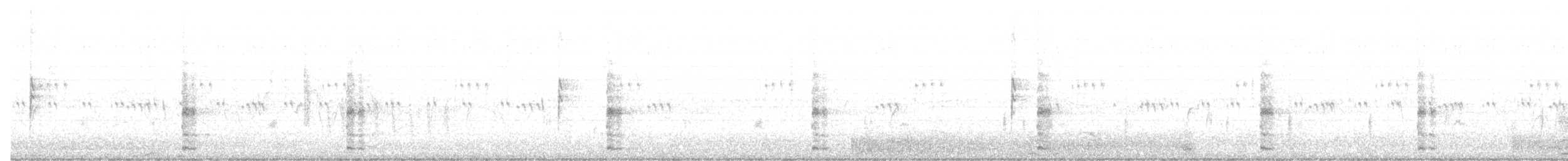 Ring-necked Pheasant - ML63660381