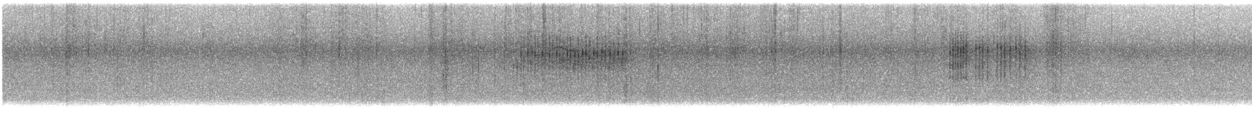 Grive draine - ML636604437