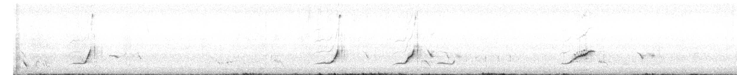 bělořit plavý - ML636605049