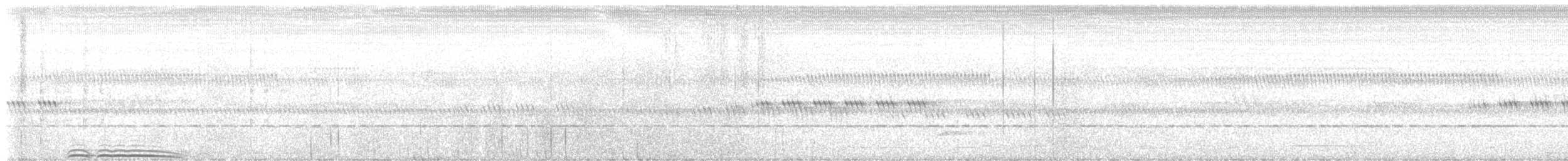 Chouette leptogramme - ML636605681