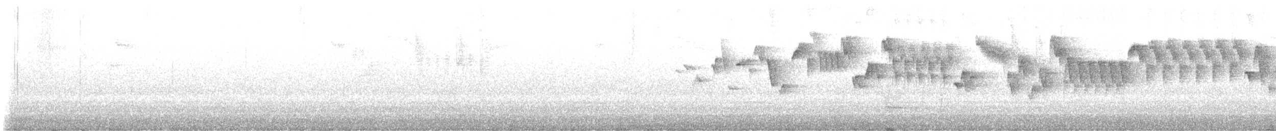 Troglodyte de Baird - ML636606234