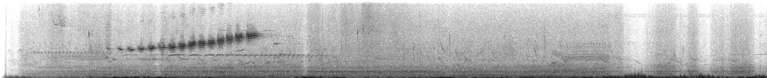 Prairie Warbler - ML636606487