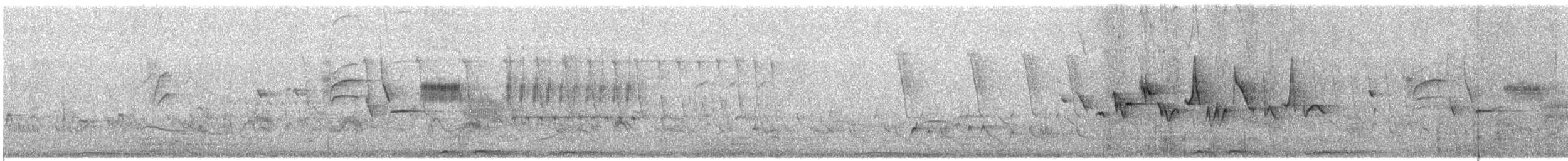 Bewick's Wren - ML636606865