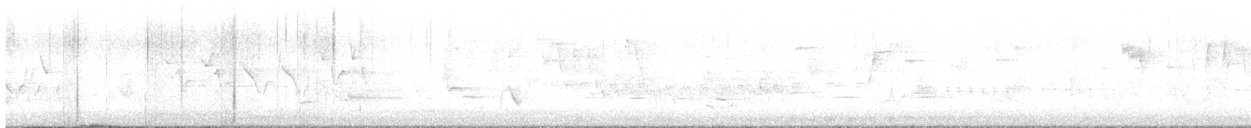 Gray-cheeked Thrush - ML636607205