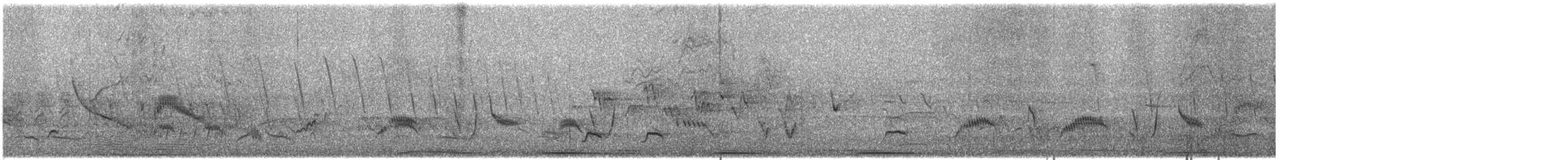 Long-billed Thrasher - ML636607248